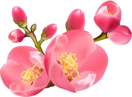 Spring Transparent Png Clip - Spring Blossom Clip Art - Larg
