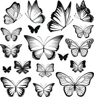 Detailed Butterfly Tattoos Silhouette Сток видеоклипы - iSto