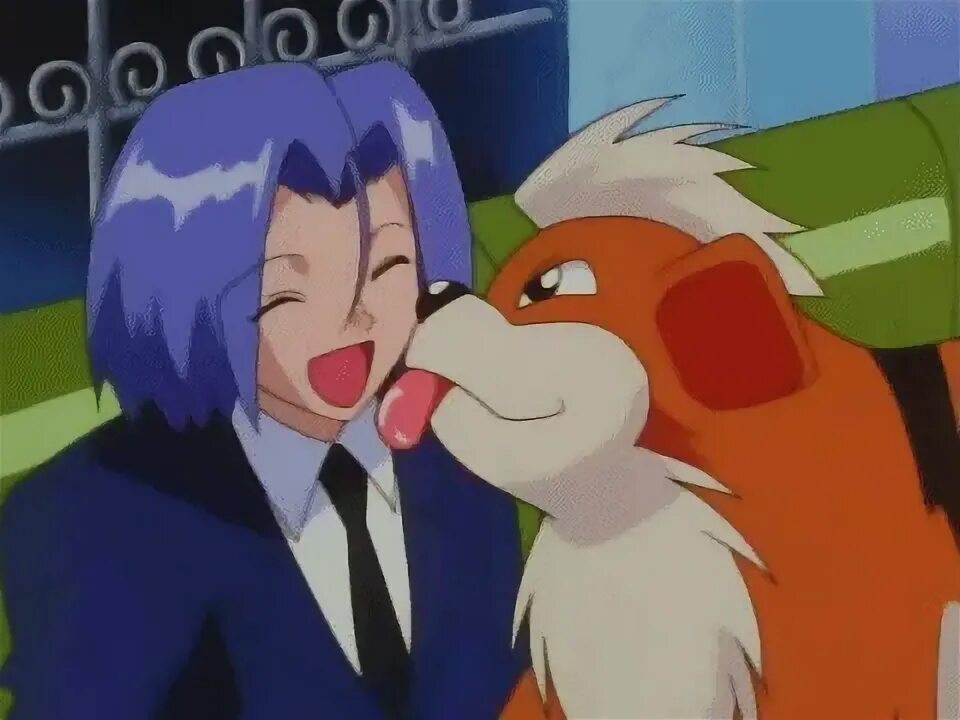 Best Pokemon Growlithe GIFs Gfycat