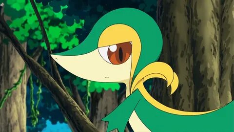 Snivy Hd Wallpapers Wallpapers - Most Popular Snivy Hd Wallp