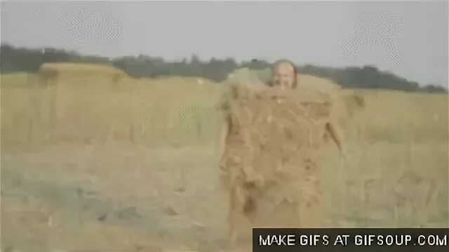 Top 30 Hay Bail GIFs Find the best GIF on Gfycat