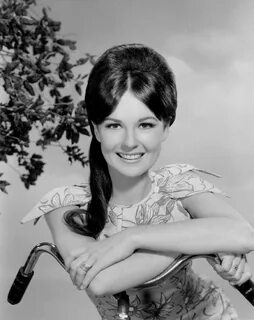 Pin on Shelley Fabares
