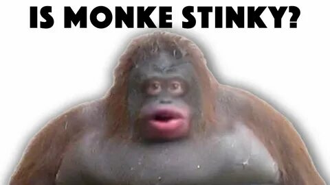 How Stinky Is Monke? (REVEALED) - YouTube