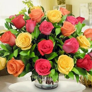 ▷ Imágenes de ramos de rosas para cumpleaños