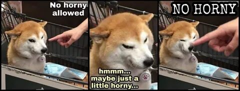 No horny allowed - Maybe just a little horny - Memes