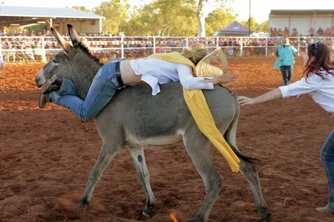 Wild donkey ride.jpg - ABC News (Australian Broadcasting Cor