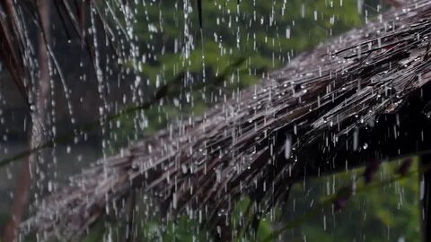 Water Drop Falling on Straw Roof, Raining on Hut Stock Video