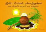 Happy Pongal In Tamil - 35 Best Happy Pongal Greetings Pictu