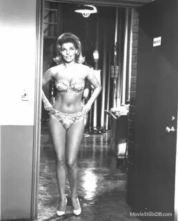49 hot photos of Nancy Kovak that will make you want her bad