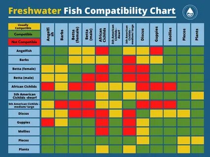 Fish Compatibility Chart For Freshwater And Saltwater Pets