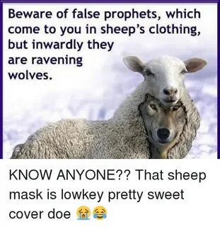 Search sheep Memes on SIZZLE