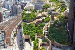 Urban oases: green roofs around the world - in pictures Gree