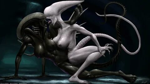 Female alien rule 34