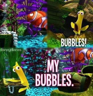 Bubbles!! Bubbles, Fish pet, Pets