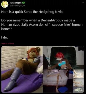 Sally Acorn doll Nightmare Fuel Know Your Meme