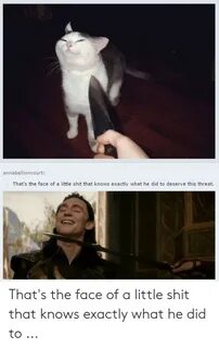 🐣 25+ Best Memes About Smug Cat Knife Meme Smug Cat Knife Me