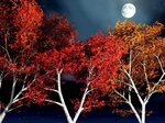 Download Full Moon In Autumn wallpaper Cool paintings, Paint