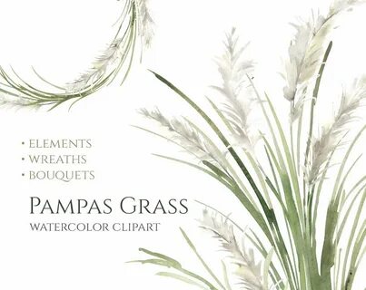 Watercolor Clipart Pampas Grass White Green Greenery Flowers