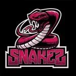 متجر Sneaky Snake PC (@sneaky_snake.pc) * Фото и видео в Instagram.