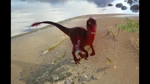 ARK Survival Evolved - Dino Vorstellung Alpha Raptor - YouTu
