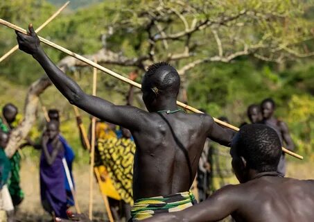 Suri tribe warriors fighting during a donga stick ritual, . 