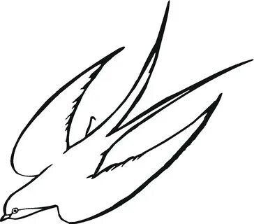 Swallow Bird drawings, Bird coloring pages, Drawing pictures