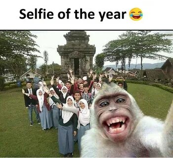 Funny Meme Selfie Of The Year - Steemit