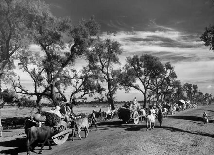 Margaret Bourke-White - Google Arts & Culture