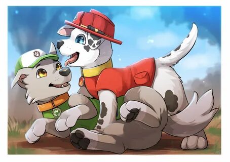 Adult paw patrol meme