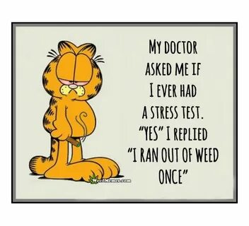 Garfield Stress Test Ran Out Of Weed Once Funny Cartoon Weed