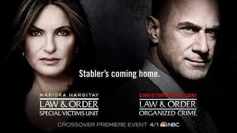 Understand and buy law and order svu tonight cheap online