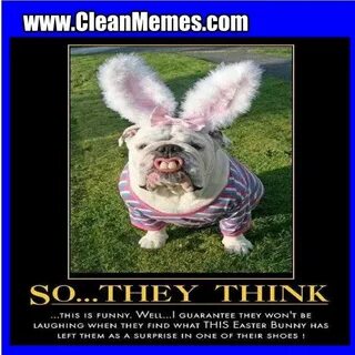 Gather the Prodigious Funny Animal Easter Memes - Hilarious 