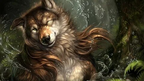 furry, Anthro, Wolf Wallpapers HD / Desktop and Mobile Backg