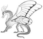 Hybrids and Special Dragons Wings of fire dragons, Wings of 