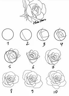 How to draw a rose Disegno di una rosa, Come disegnare fiori