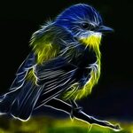 Glowing bird - animation by megaossa on DeviantArt Fractal a
