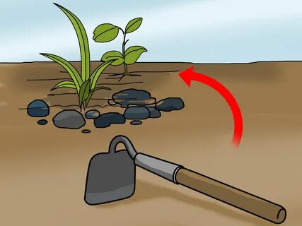 How to Hoe Weeds: 11 Steps (with Pictures) - wikiHow