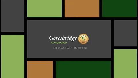 Goresbridge Go for Gold Sale 2016 - The Select Event Horse Sale - YouTube
