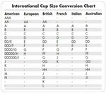 Prime Ameise Algebra bra cup size comparison chart Platz Sch