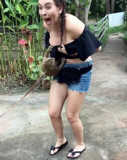 Cheeky monkey pulls down tourist's top exposing her boob on 