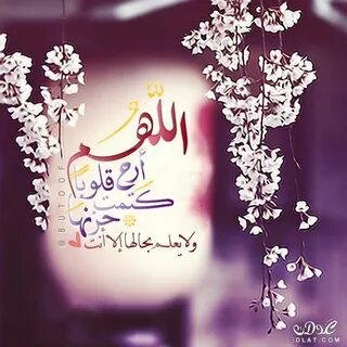Salah Mokhtar - YouTube