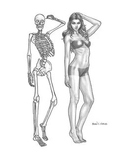 Female Skeleton Drawing at PaintingValley.com Explore collec