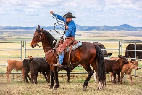 Agriculture Stock Photos and Commercial Photographer by Todd