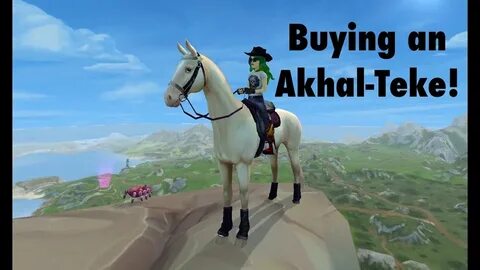 SSO-Buying the new Akhal-Teke! - YouTube
