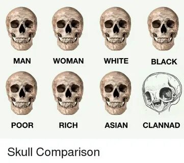 MAN WOMAN WHITE BLACK POOR RICH ASIAN CLANNAD Skull Comparis