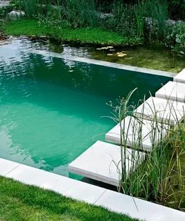 A Swimming Hole in Your Backyard?! - DuJour Backyard pool, N