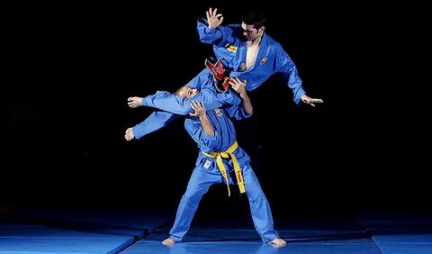 LE VOVINAM VIET VO DAO A BERCY - Karate Bushido