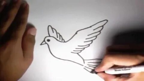 Como dibujar una Paloma l How to draw a Dove - YouTube