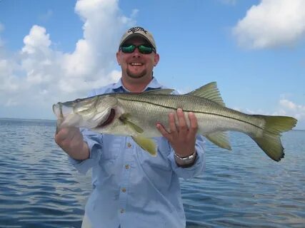 Snook Fishing in Tampa Bay - Cast Away Charters
