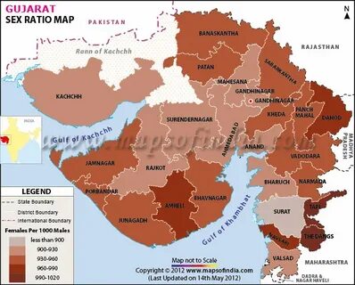 Census Meaning In Gujarati - Gianixom